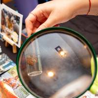 magnifying glass over an exhibit table
